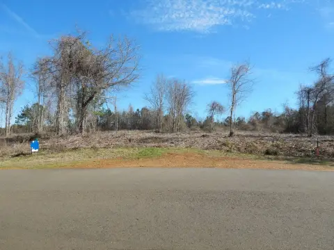 Vacant Land Near Big Bass