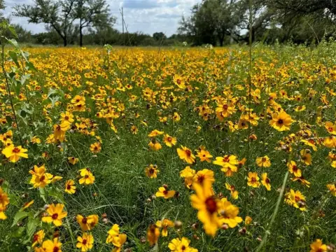 Residential Lot in Golf Resort