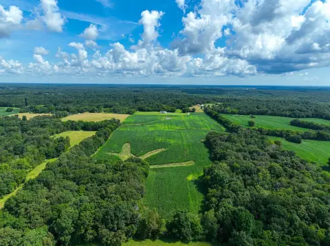 Hunting and Tillable Income Property