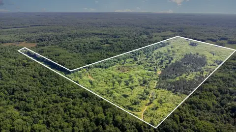 80 Acres Prime Hunting Land