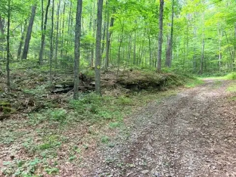 Undeveloped Recreational Land Tract
