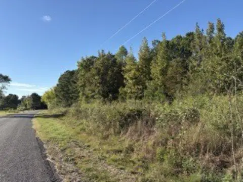 Wooded Hunting Land with Creek