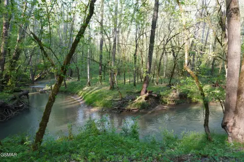 Creek Frontage Land Near Amenities