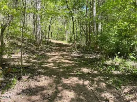 Sevierville Land with Natural Springs