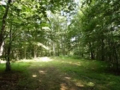 Secluded Acreage Near Lake Cumberland