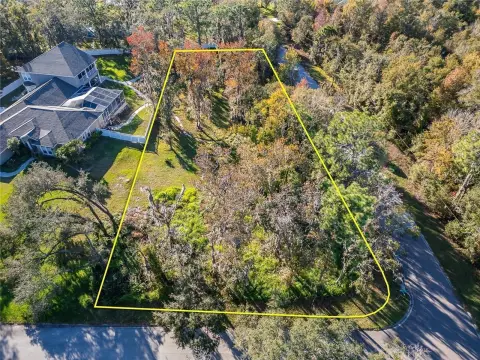 Spacious Corner Lot Opportunity