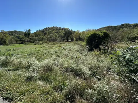 Land For Sale, Salyersville, KY