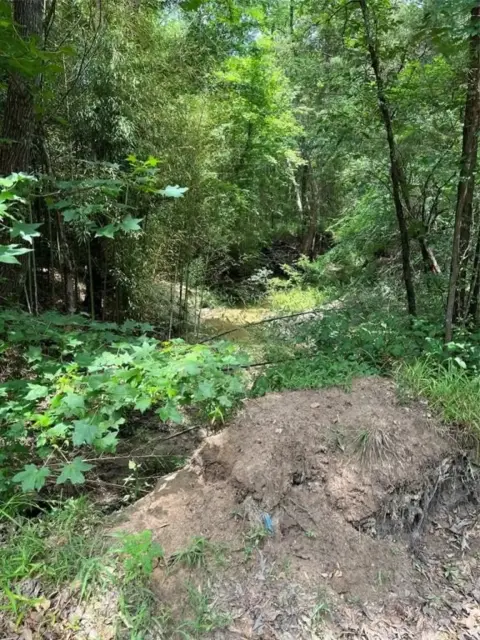 Mount Vernon Wooded Land Parcel