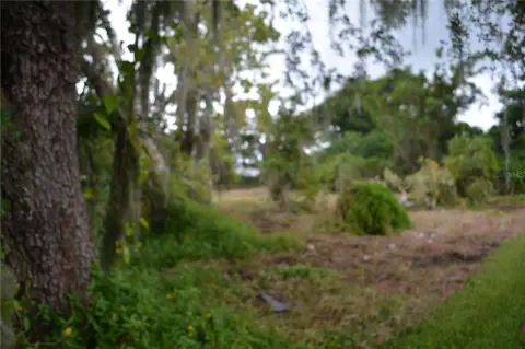 Land in Historic Interlachen