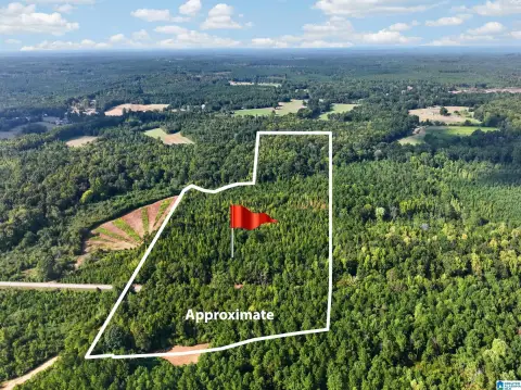 Hunting Land with Homesite