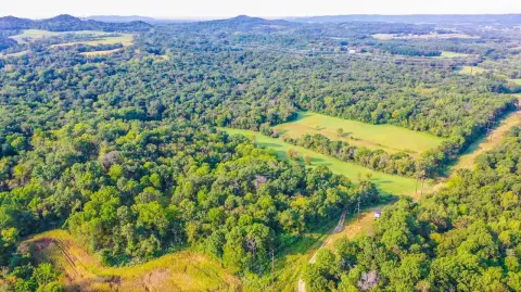 Hunting Land with Oak Timber