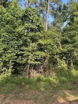 10.71 Acres Raw Land, Center