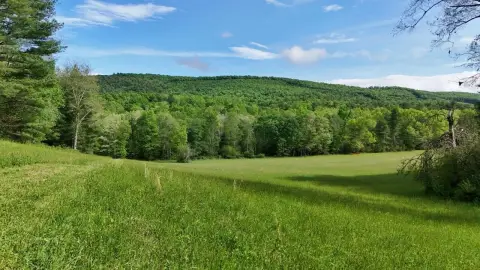 Acreage with Meadows and Forestland