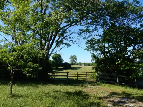 Versailles Land with Pasture