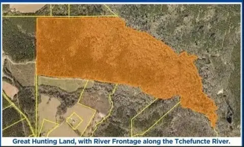 220 Acres Prime Hunting Land