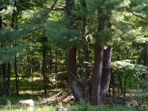 Secluded Land with Potential Views