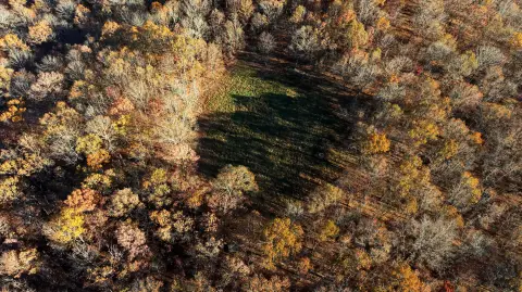 Recreation Land with Food Plot