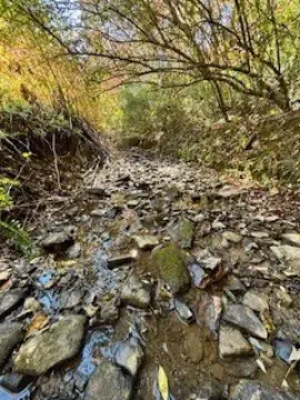 108 Acres of Vacant Land