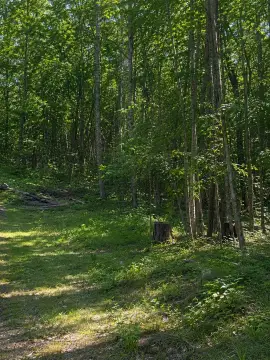 Land Near Trails And Lakes