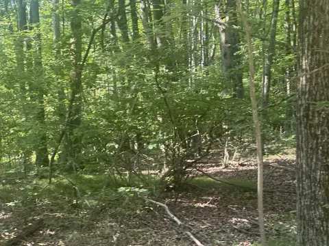 Residential Land in Gated Community