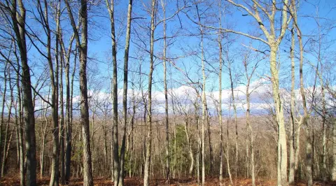 Residential Land in Gated Community