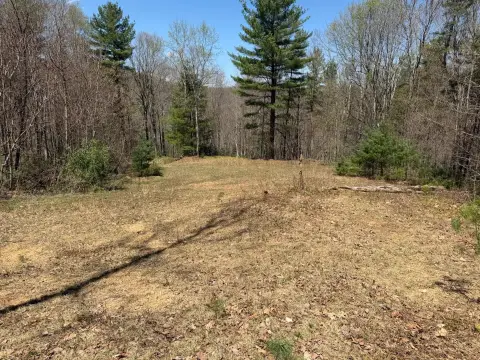 Expansive Land in Meadow Bridge, WV