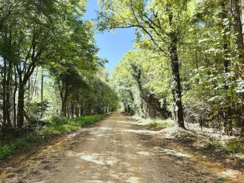Hunting Land with Creek