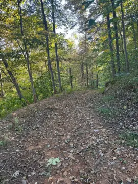 Farmland with Wooded Acreage