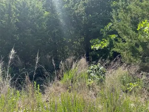 Wooded Lot Near Sandy Beaches