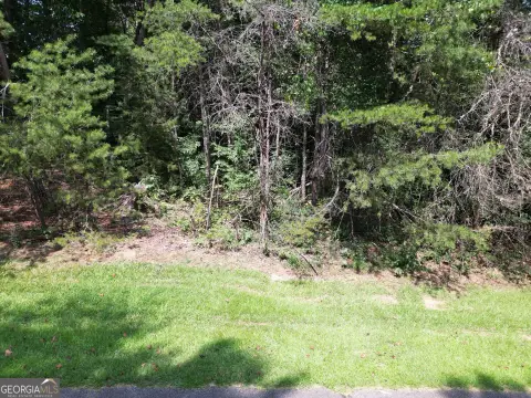 Toccoa Homesite in Deer Chase