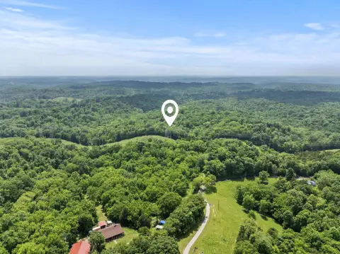 Wooded Land with Wildlife