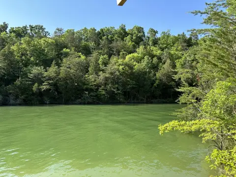 Douglas Lake Waterfront Land Opportunity