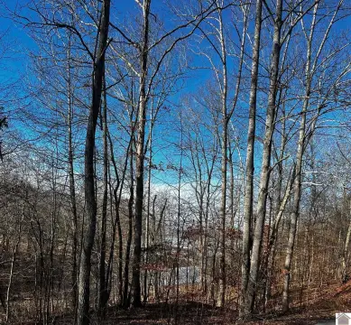 Lake View Residential Lot