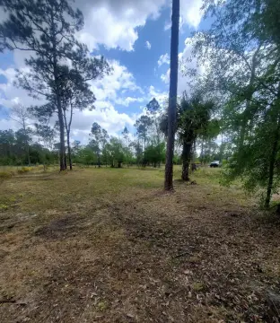 2.5 Acres Fenced Land