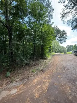 Wooded Lots in Garrison, TX