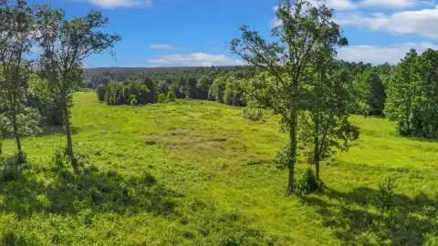 Unrestricted Acreage in San Augustine