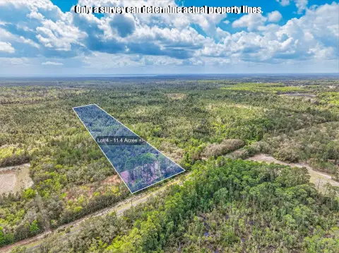 Partially Cleared Conservation-Adjacent Land