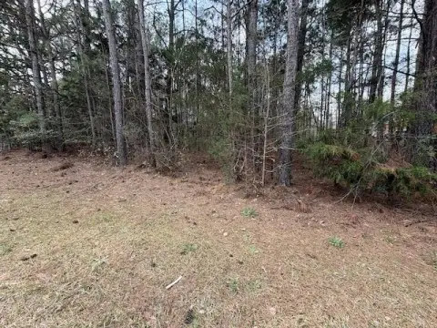 One Acre Lot in Georgia