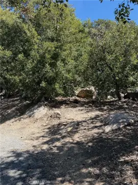 Lake Arrowhead Land For Sale