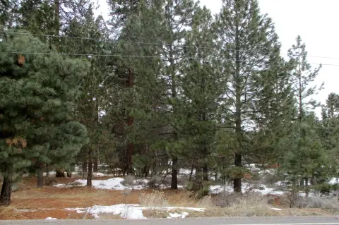 Residential Lake-Adjacent Lot