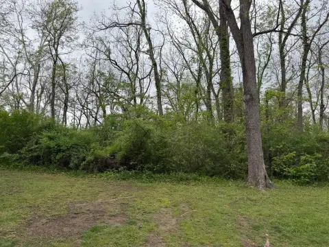 Unrestricted Land Near Alderson, WV