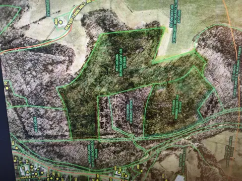 31 Acres Vacant Farm Land