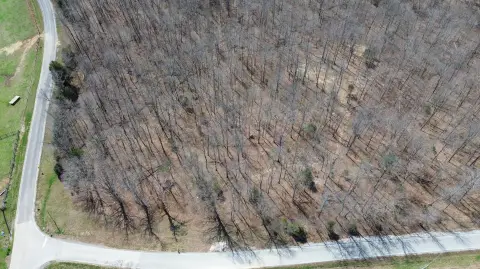 92 Acres Recreational Land Investment