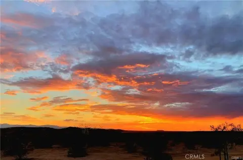 Commercial Acreage in Downtown