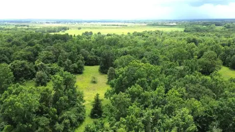 Unrestricted Hunting Land in Crockett, TX