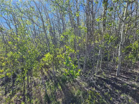 Panoramic-View Mining Claims Land