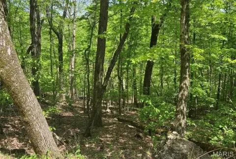 Lakefront Residential Land Parcel