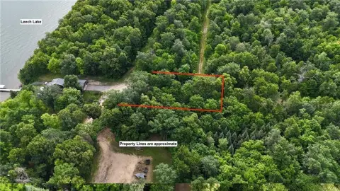 Half Acre Wooded Lot