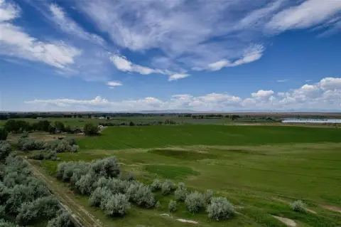 Irrigated Farmland with Livestock Improvements