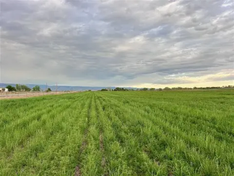 Irrigated Farmland Parcel